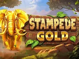 Stampede Gold